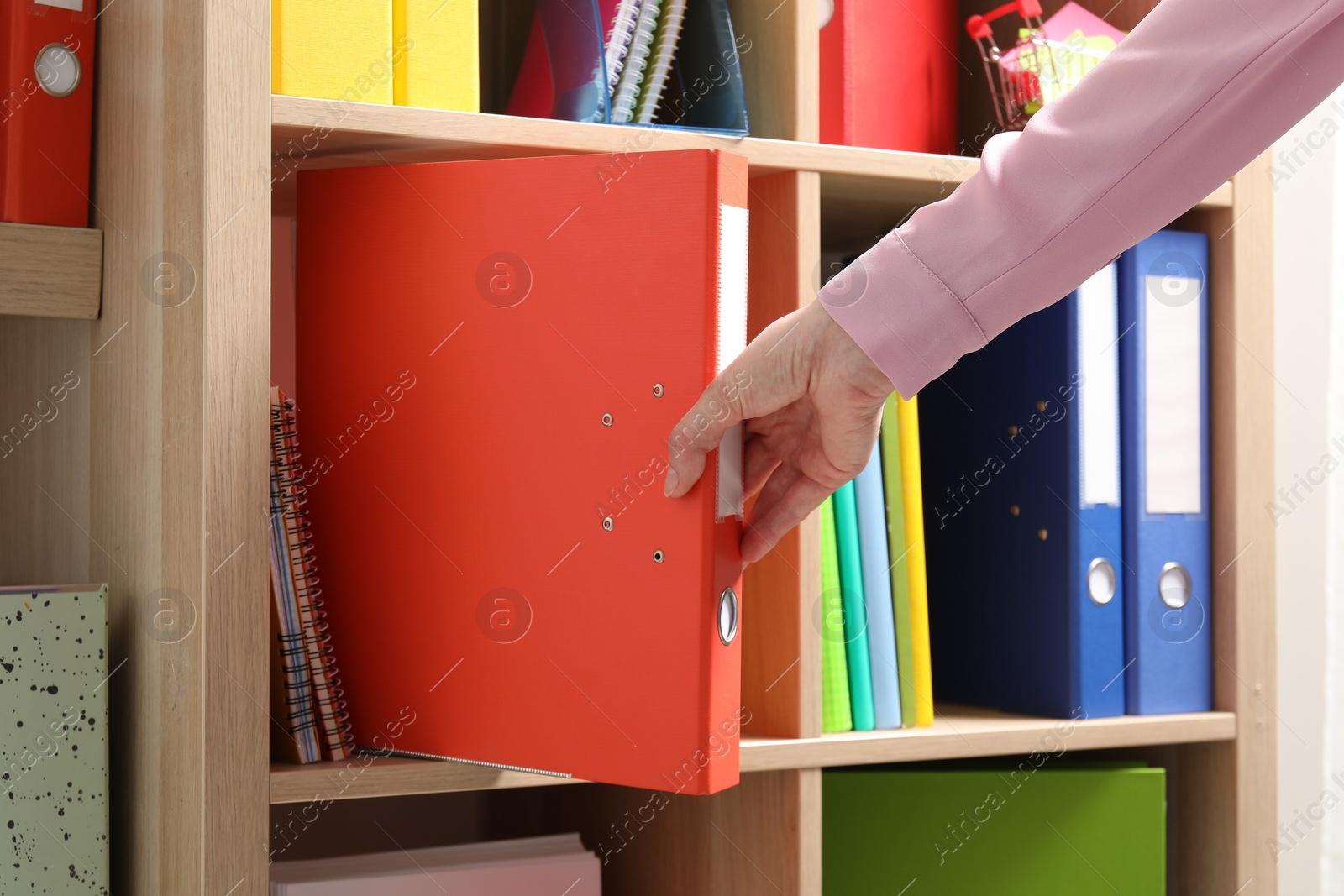 Photo of Woman taking binder office folder from shelving unit, closeup