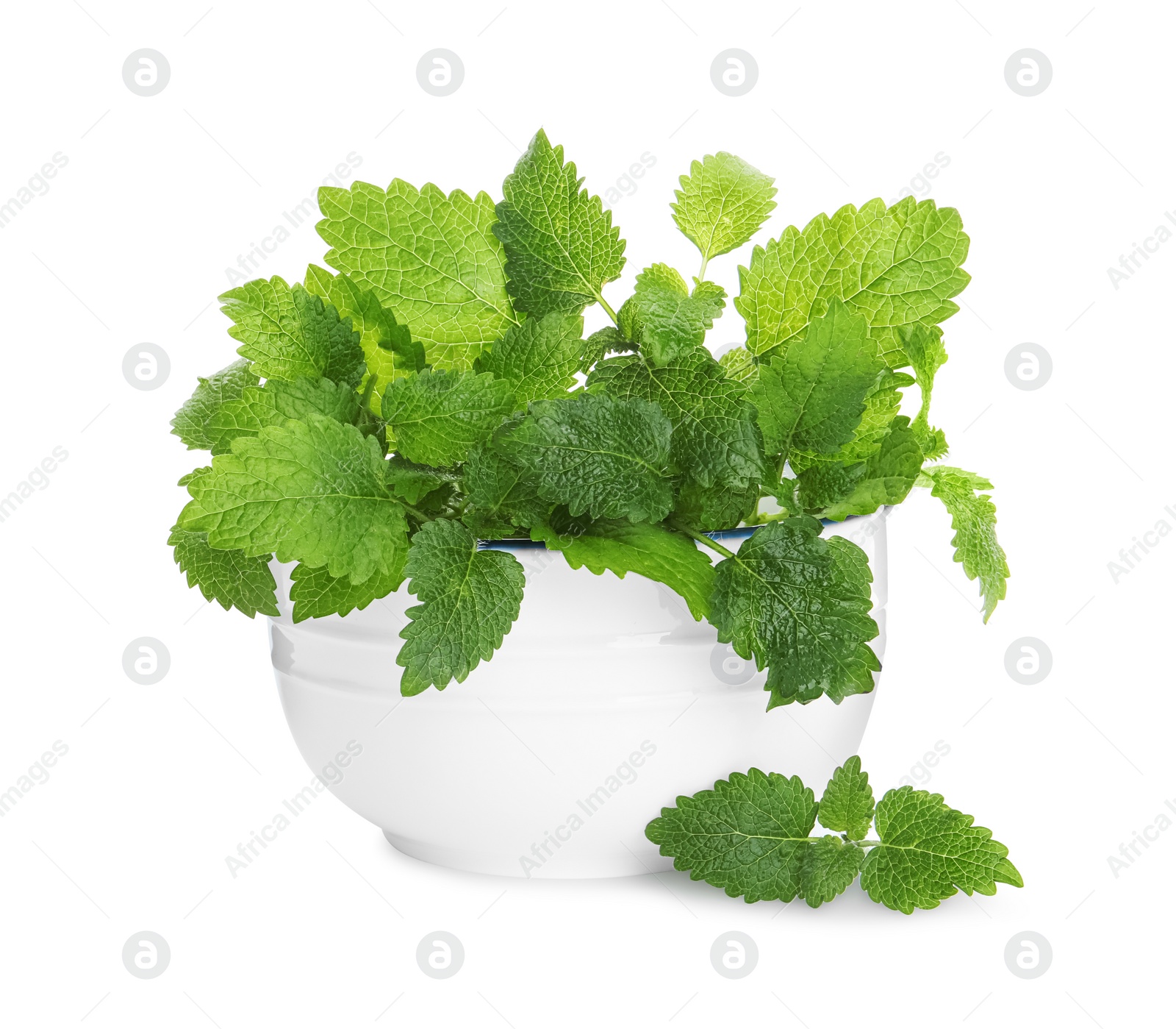 Photo of Bowl with fresh green lemon balm leaves isolated on white