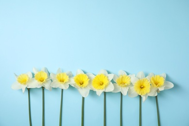 Flat lay composition with daffodils and space for text on color background. Fresh spring flowers