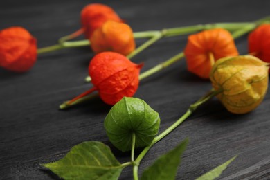 Physalis branches with colorful sepals on black wooden table, closeup