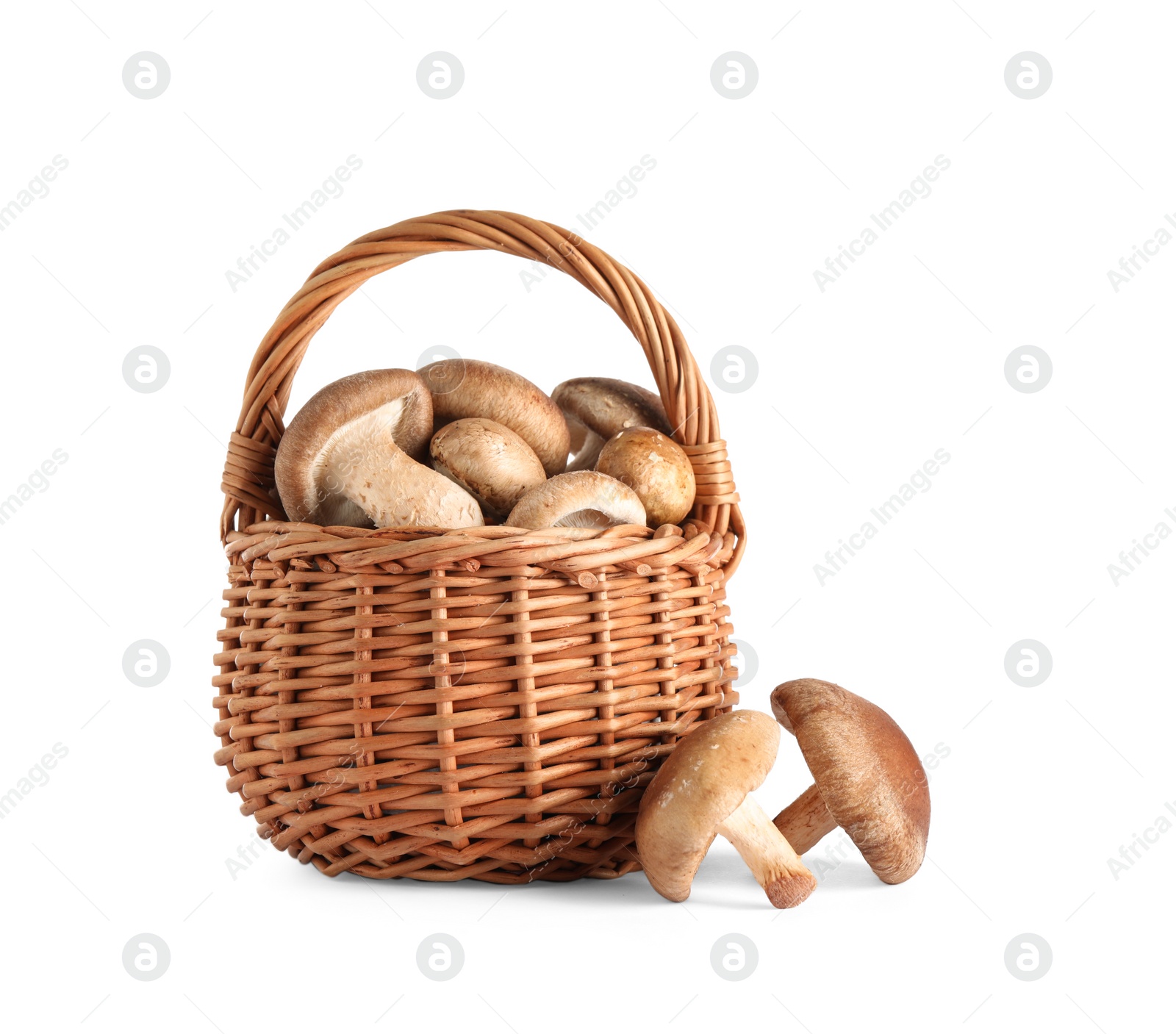 Photo of Fresh wild mushrooms in wicker basket on white background. Edible fungi