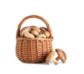 Photo of Fresh wild mushrooms in wicker basket on white background. Edible fungi