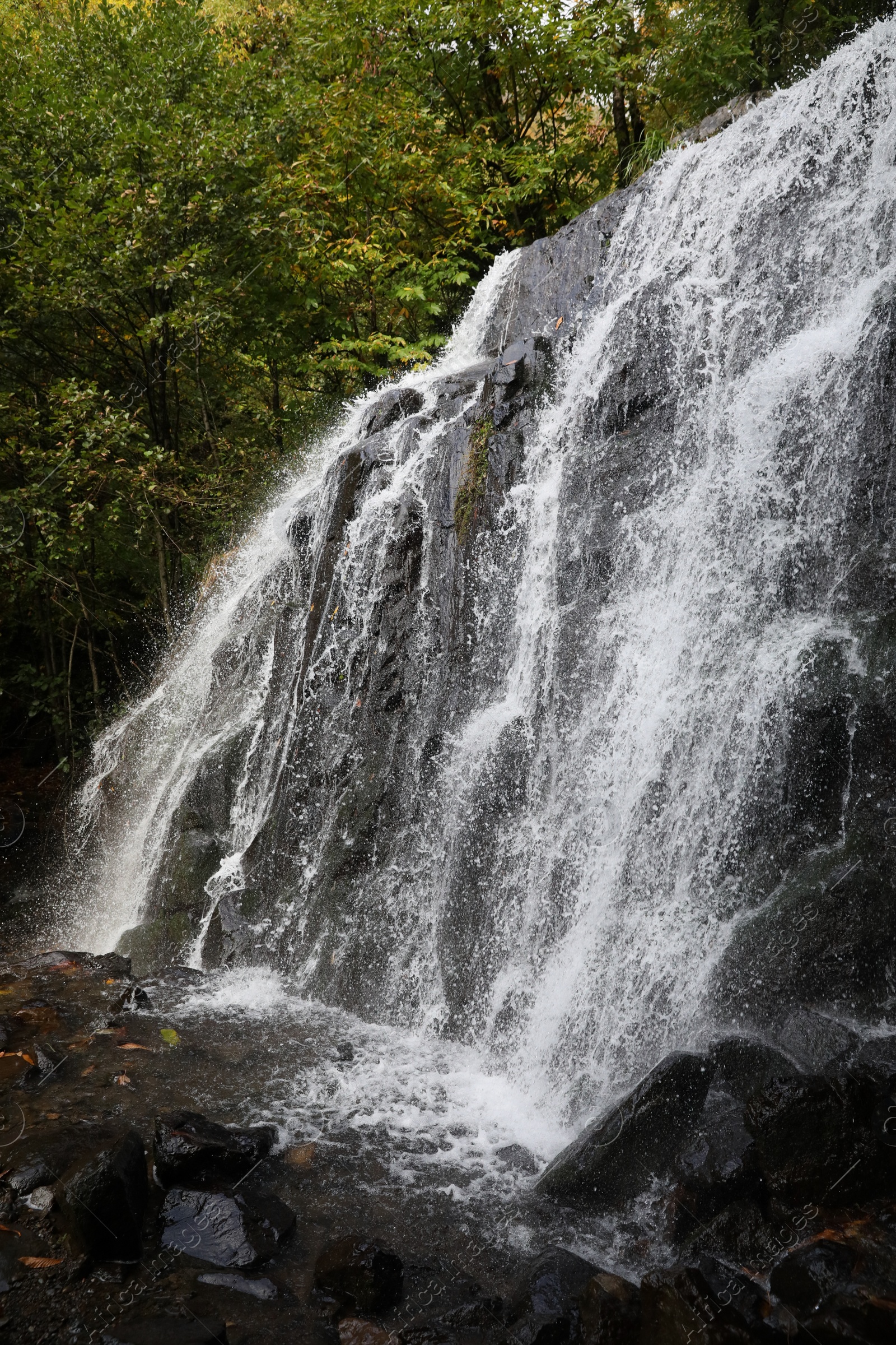 Photo of Picturesque view of small waterfall in forest