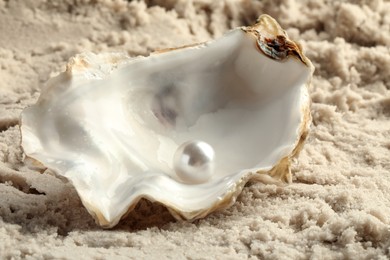 Half of oyster with white pearl on sand, closeup