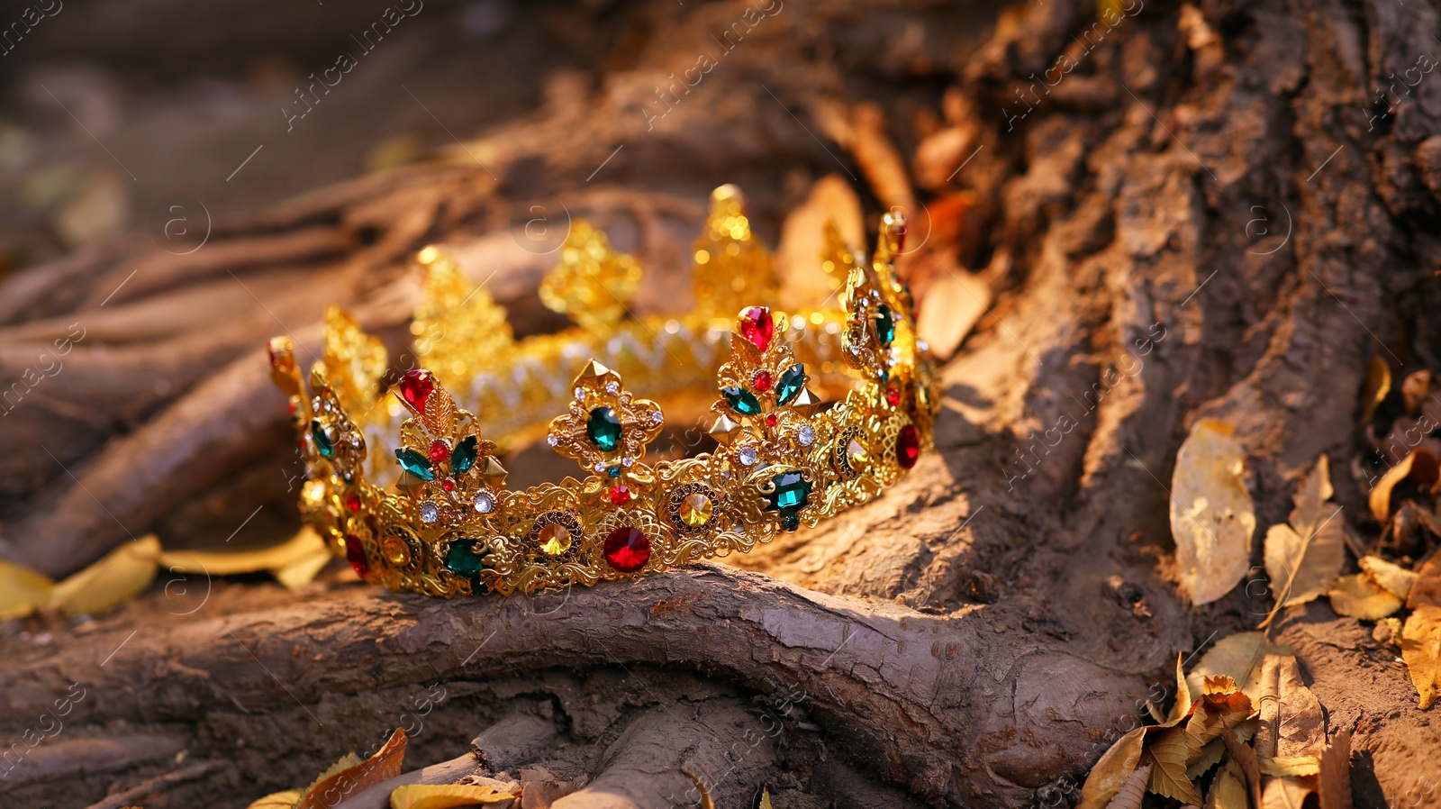 Photo of Beautiful golden crown on tree roots outdoors. Fantasy item