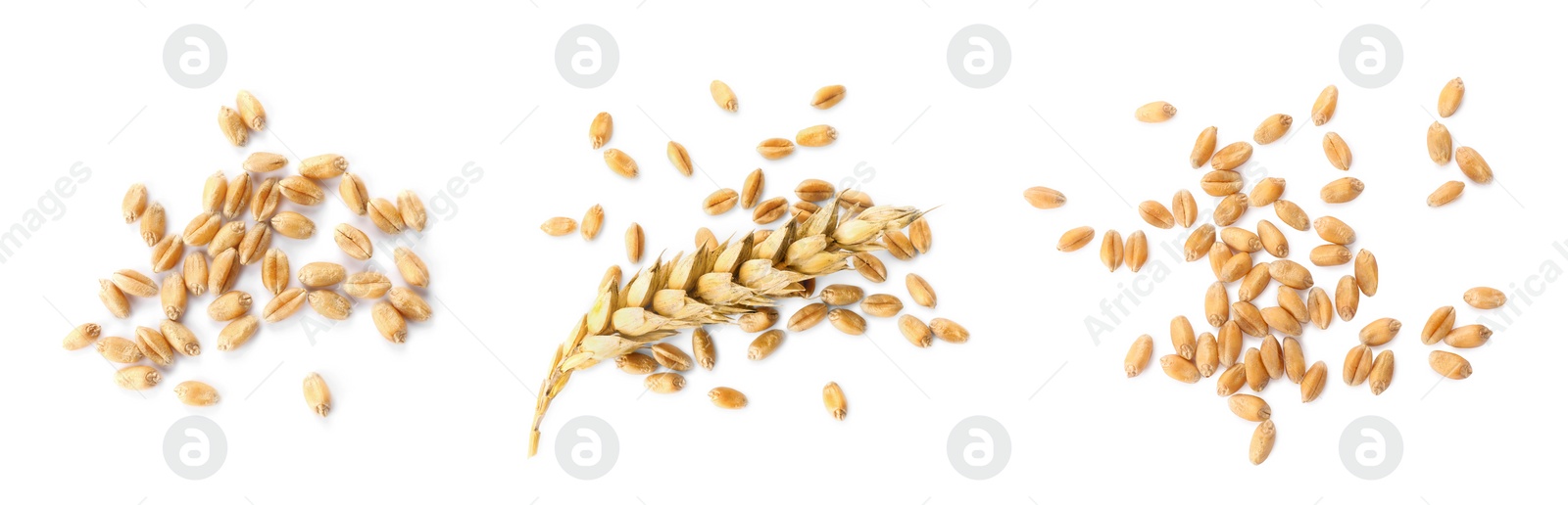 Image of Set with wheat grains on white background, top view. Banner design