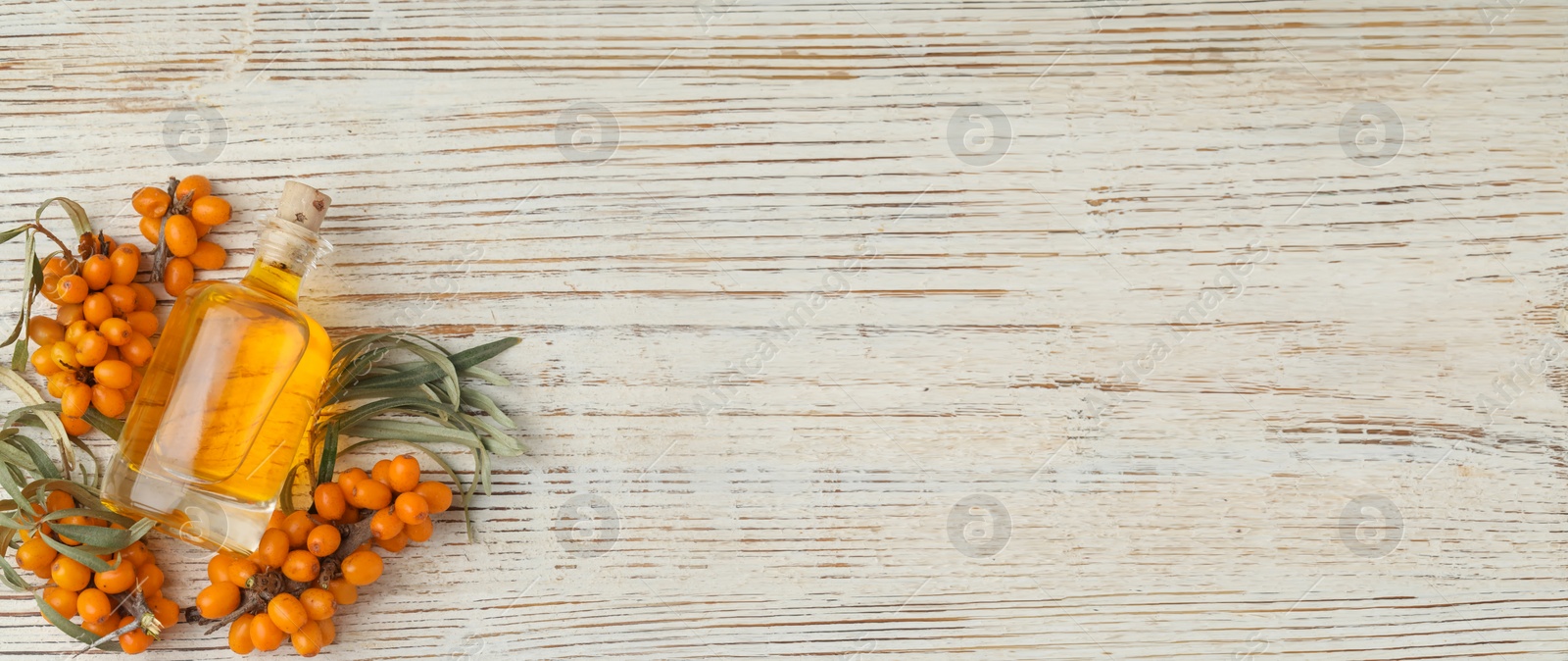 Image of Natural sea buckthorn oil and fresh berries on white wooden table, flat lay. Banner design with space for text