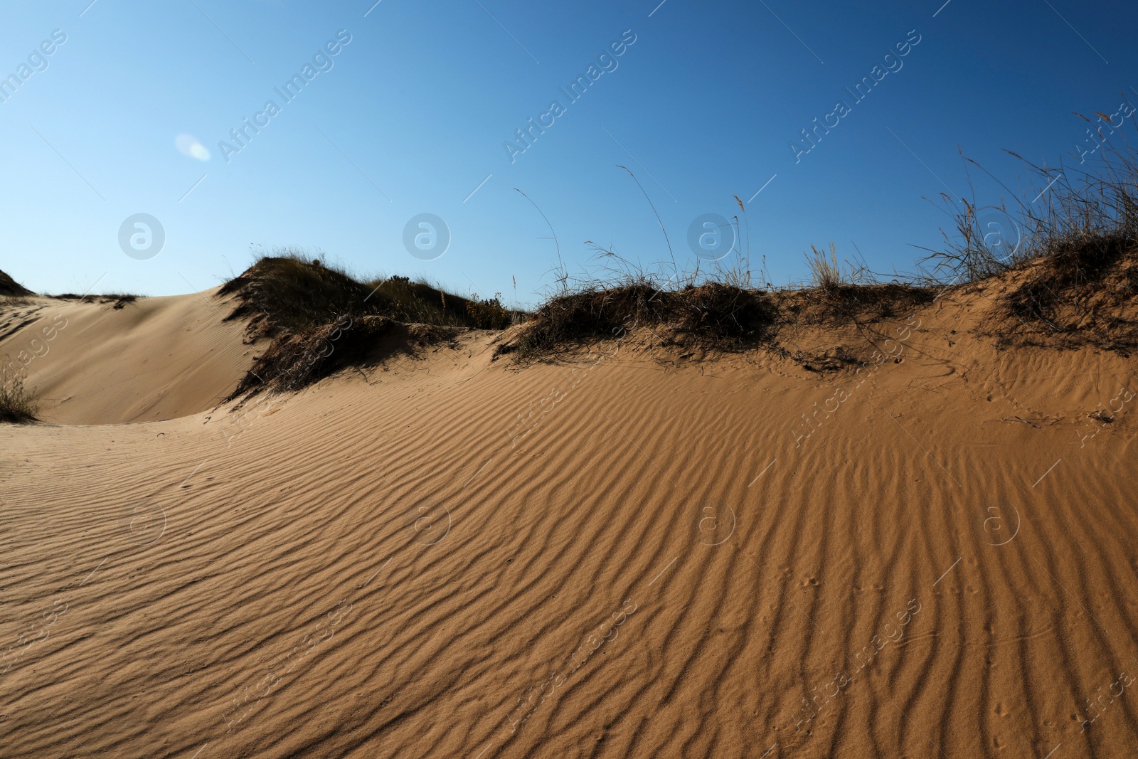 Photo of Picturesque view of desert on sunny day