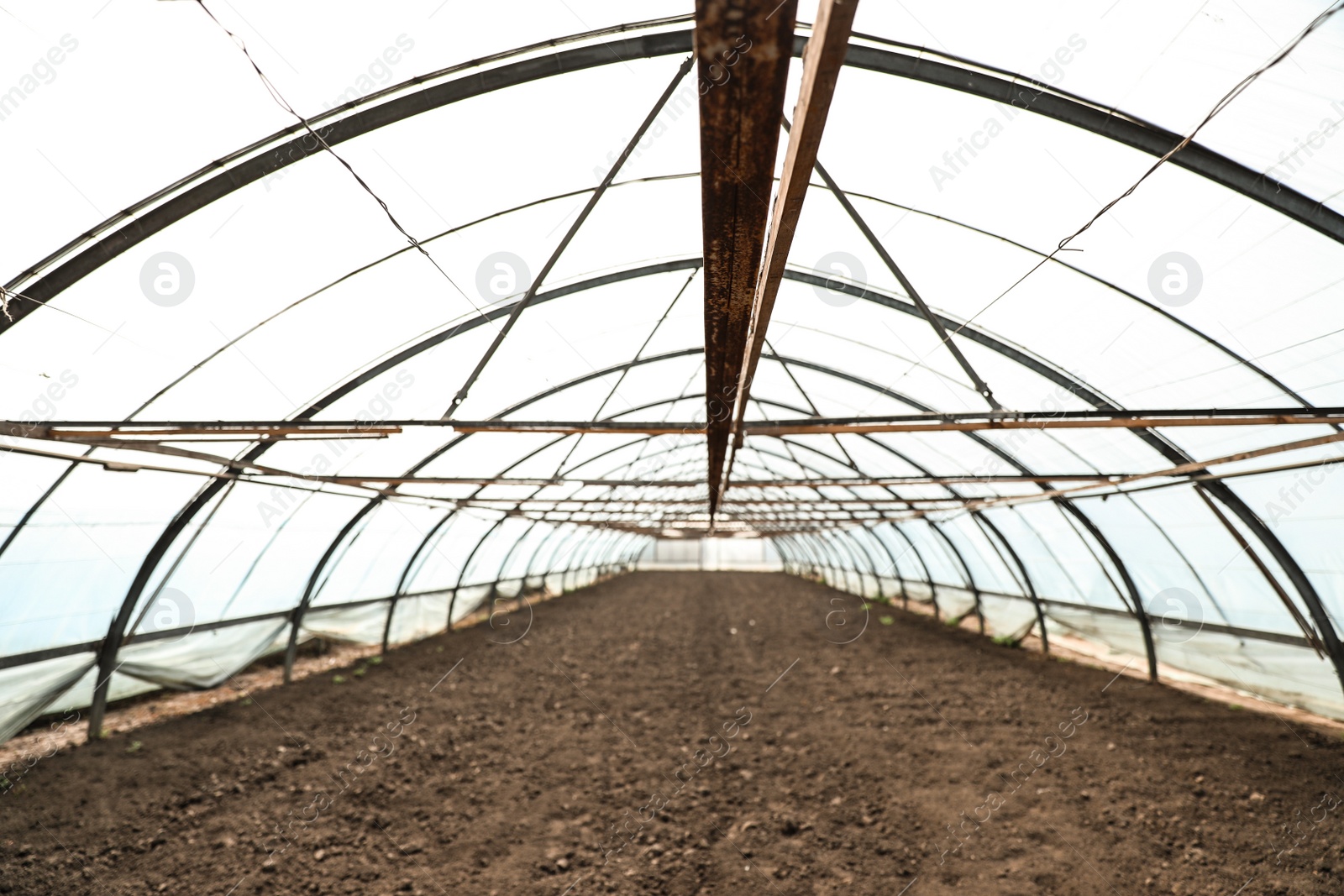 Photo of Large agricultural greenhouse prepared for seed sowing