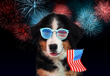 Image of 4th of July - Independence Day of USA. Cute dog with sunglasses and American flag on dark background with fireworks 