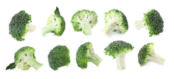 Image of Set of fresh green broccoli on white background, banner design 