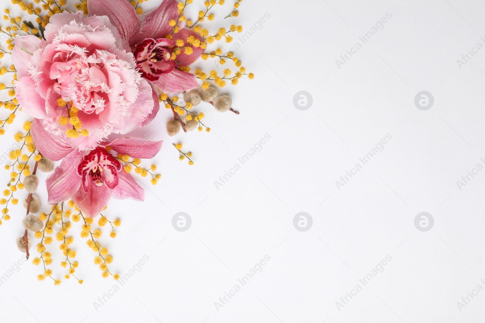 Photo of Beautiful floral composition with mimosa flowers on white background, flat lay. Space for text