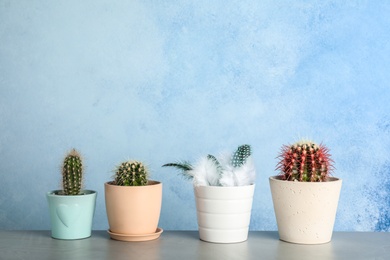 Photo of Pots with cacti and one with feathers on table against color background