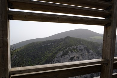 Photo of Picturesque view of green forest in mountains