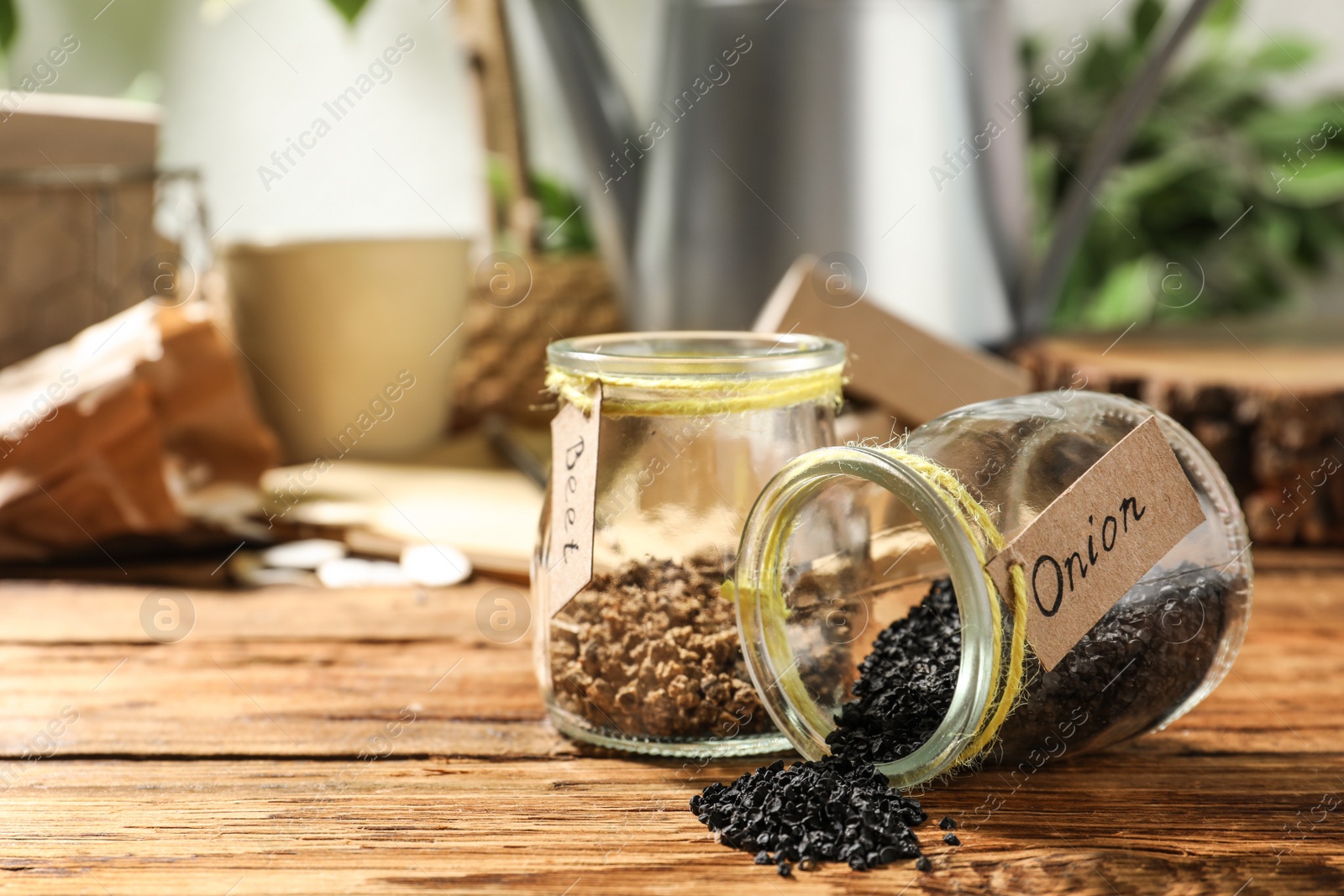 Photo of Glass jars with vegetable seeds on wooden table, space for text