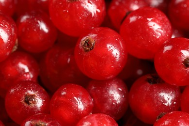 Photo of Many ripe red currants as background, closeup
