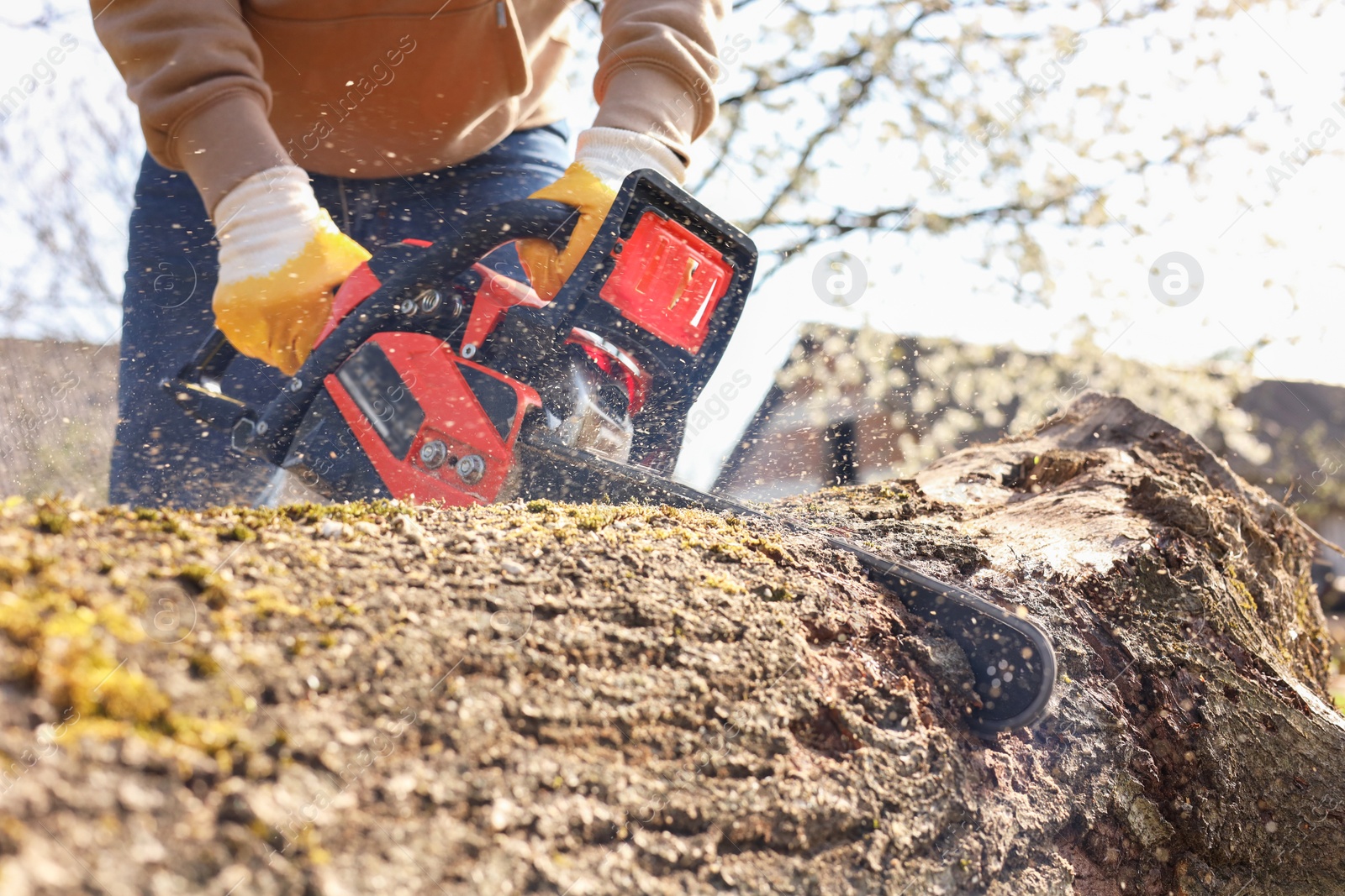 Photo of Man sawing wooden log on sunny day, closeup