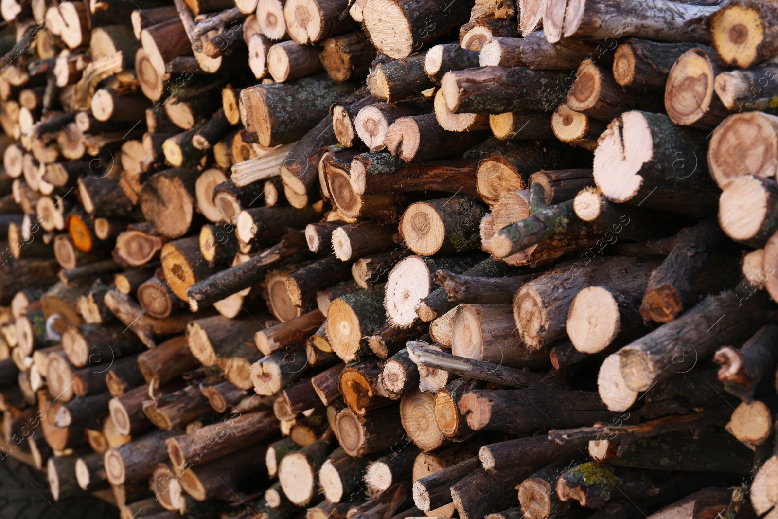 Photo of Stack of cut firewood as background, closeup view