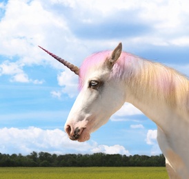 Image of Amazing unicorn with beautiful mane in field on sunny day