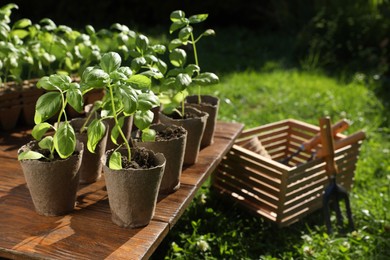 Photo of Beautiful seedlings in peat pots on wooden table and crate with gardening tools outdoors