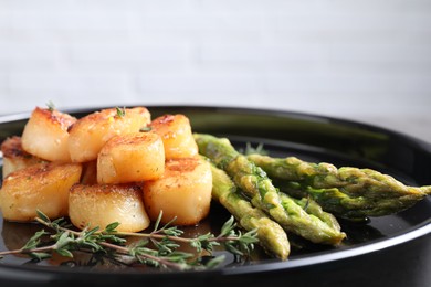 Delicious fried scallops with asparagus and thyme on plate, closeup