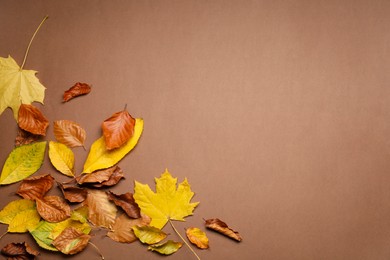 Beautiful autumn leaves on brown background, flat lay. Space for text