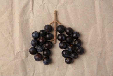 Human lungs made of plums on crumpled kraft paper, flat lay