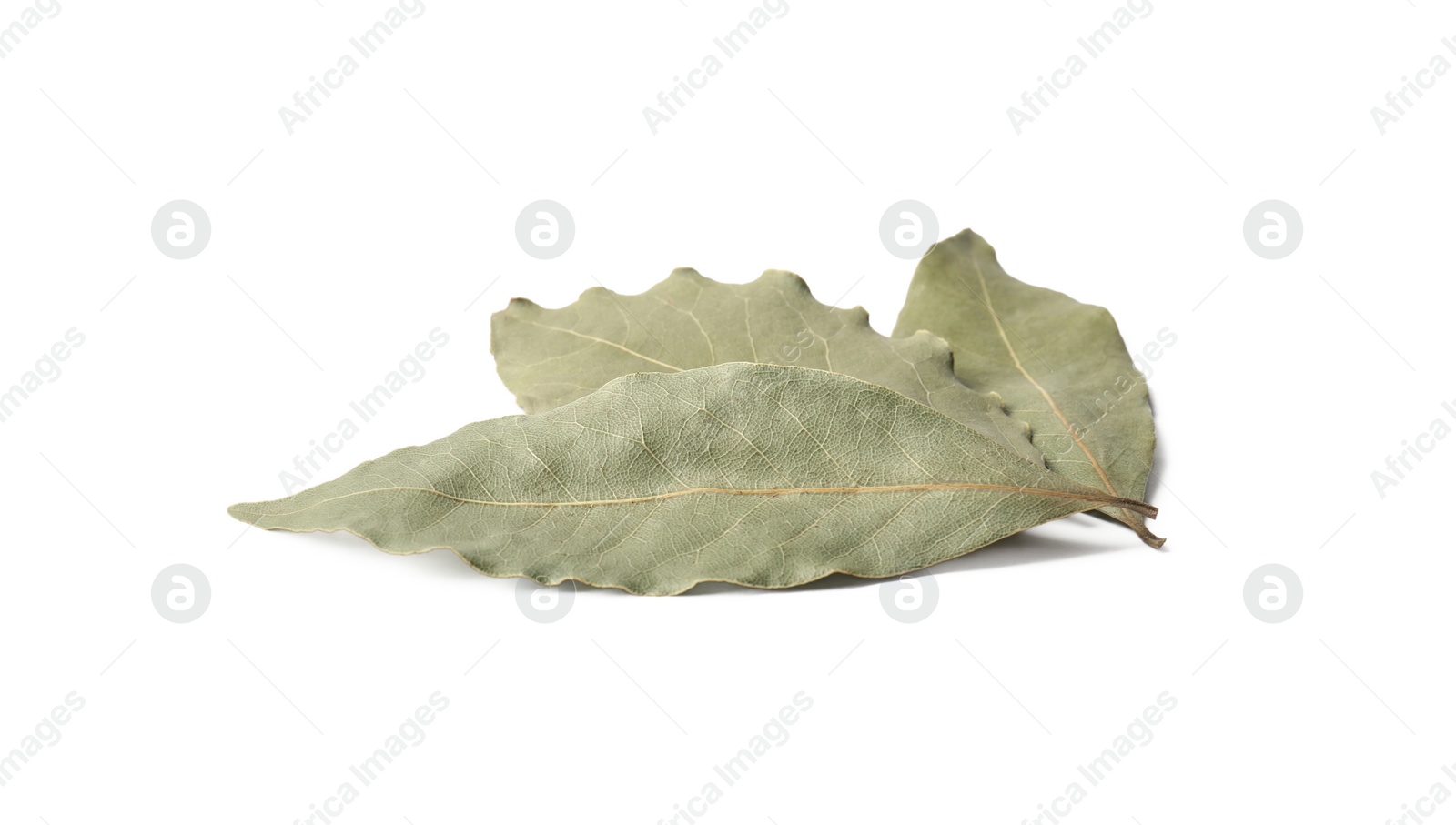 Photo of Three aromatic bay leaves on white background