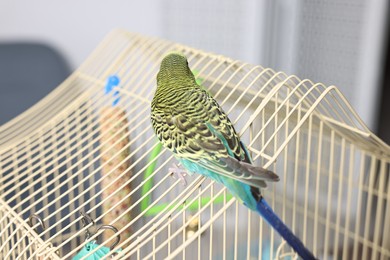 Photo of Beautiful bright parrot on cage indoors. Exotic pet