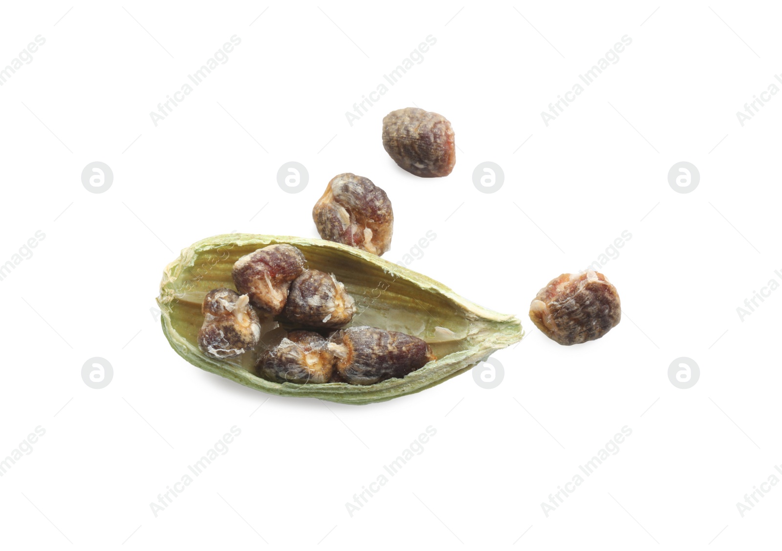 Photo of Seeds of dry green cardamom on white background