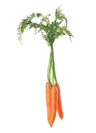 Ripe carrots on white background. Healthy diet