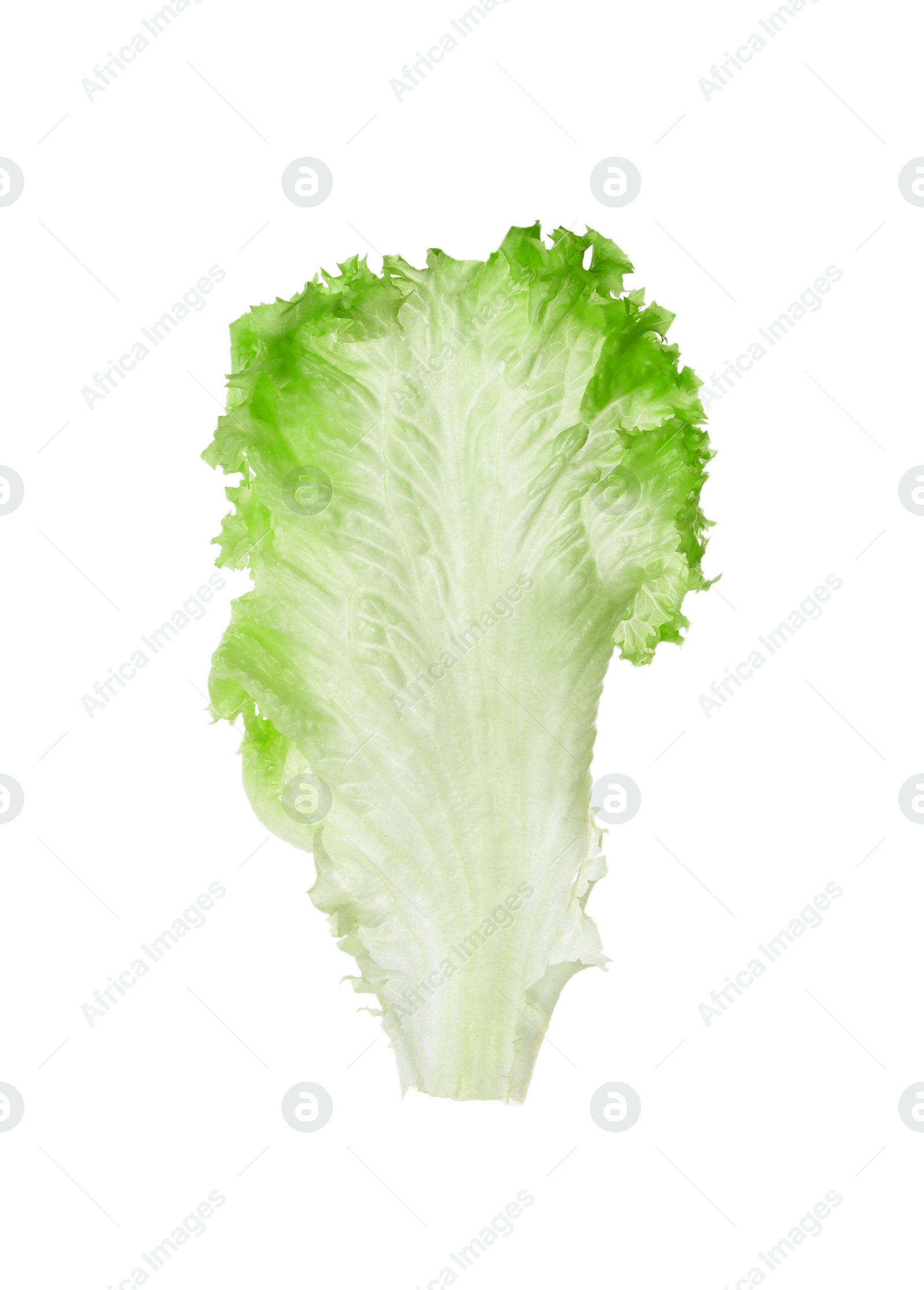 Photo of Fresh green lettuce leaf isolated on white