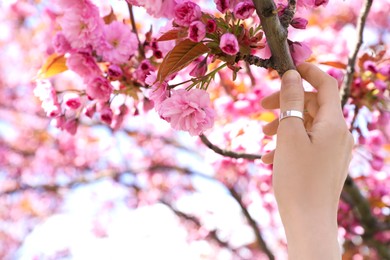 Photo of Young woman holding branch of blossoming sakura tree outdoors, closeup. Space for text