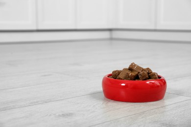 Photo of Wet pet food in feeding bowl on floor indoors, space for text