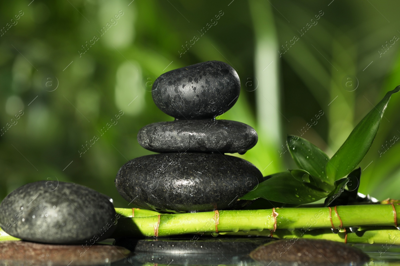 Photo of Wet stacked stones on bamboo stems against blurred background, closeup