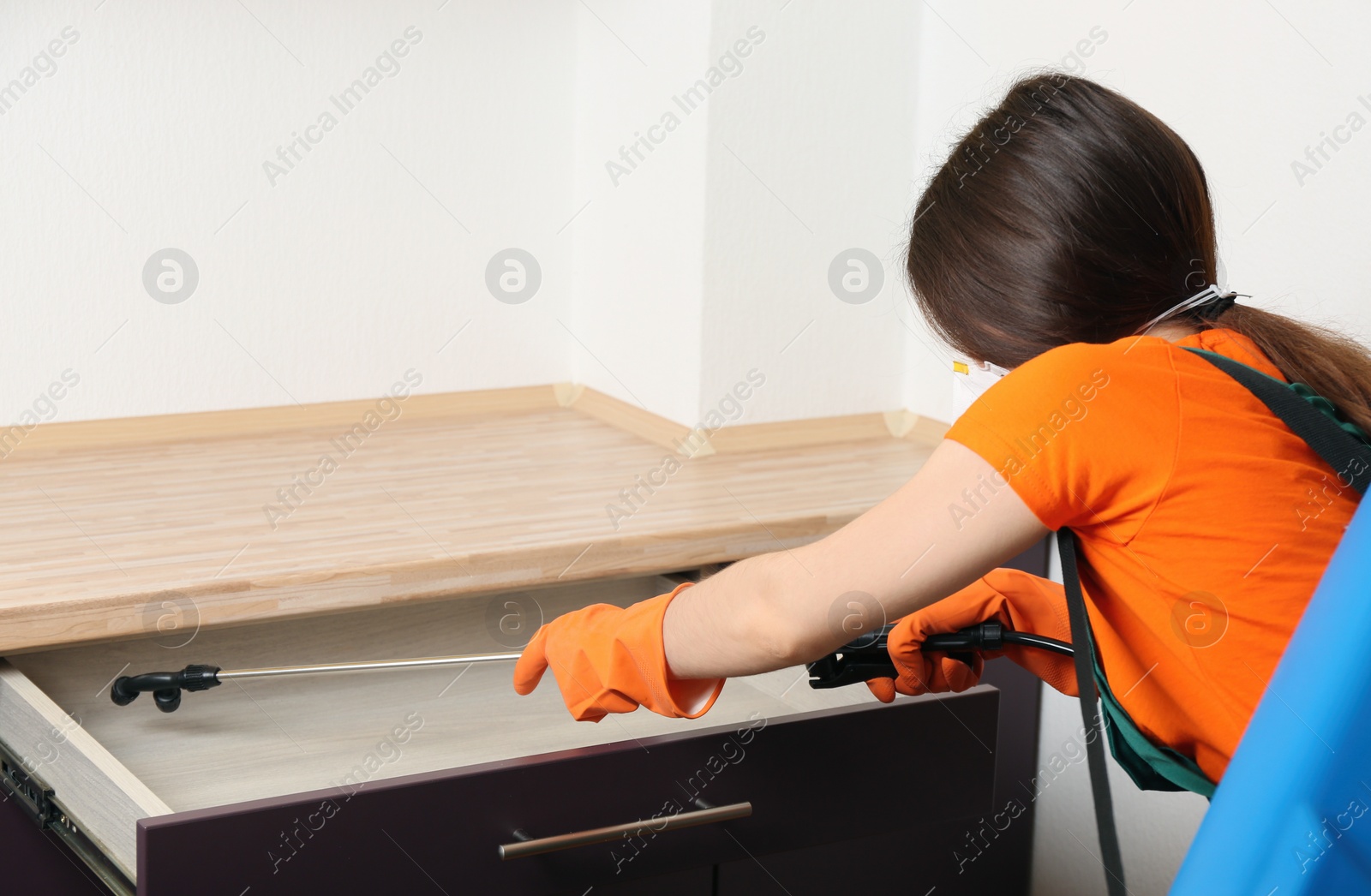 Photo of Pest control worker spraying pesticide on furniture indoors