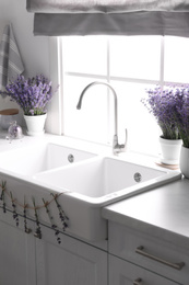 Beautiful lavender flowers on countertop near sink in kitchen