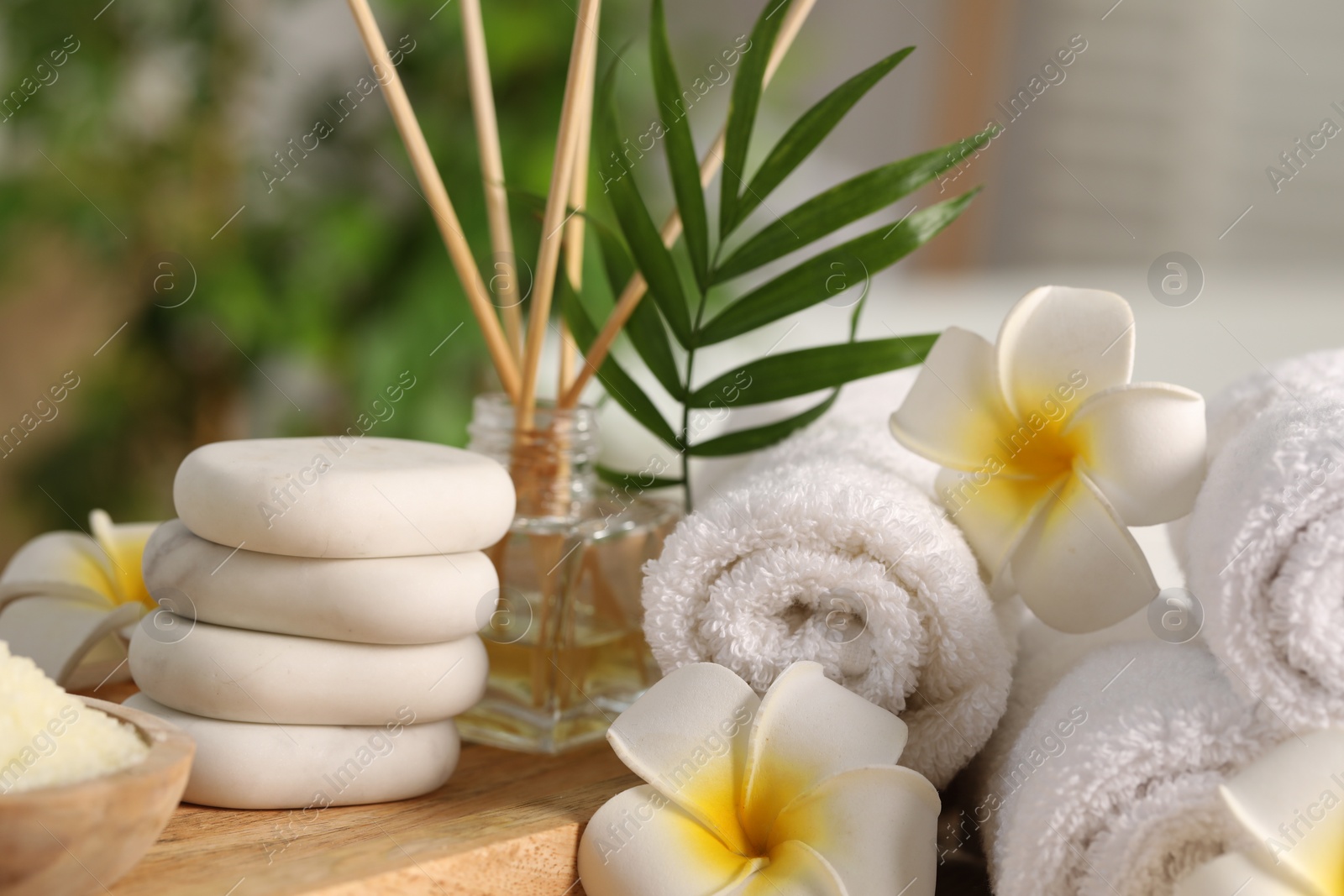 Photo of Composition with different spa products and plumeria flowers on table, closeup