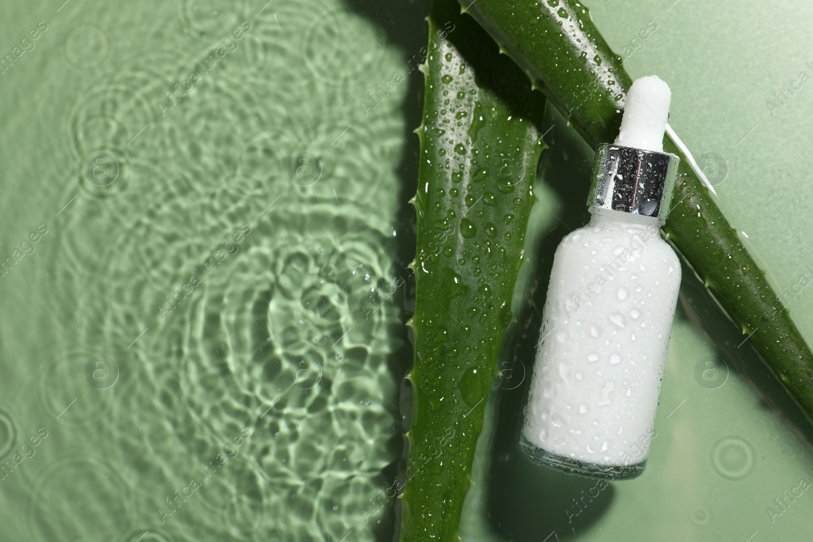 Photo of Bottle of cosmetic product and aloe leaves in water on pale green background, flat lay. Space for text