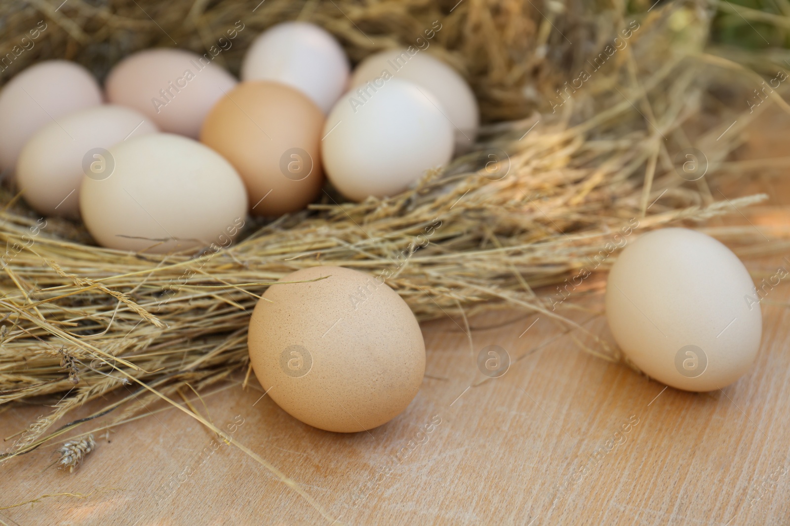 Photo of Nest with fresh raw eggs on wooden table, closeup