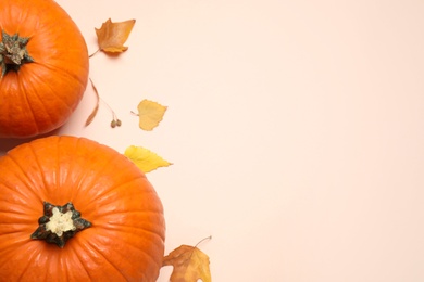 Fresh ripe pumpkins and autumn leaves on light background, flat lay. Space for text