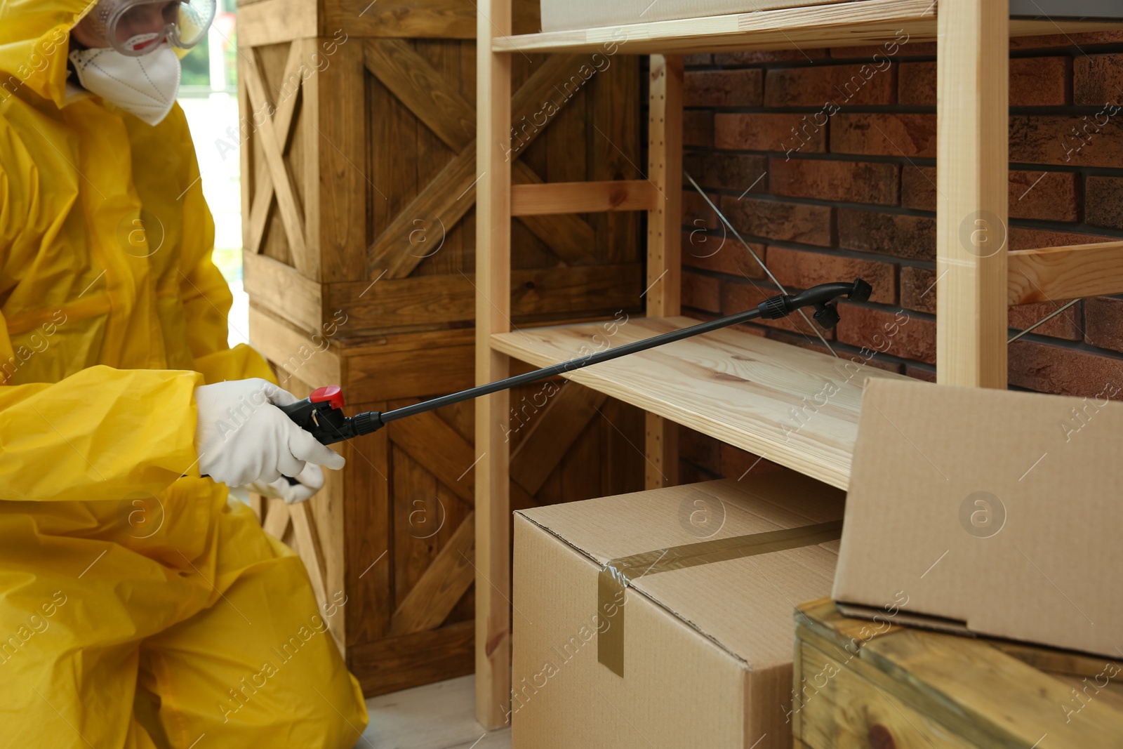 Photo of Pest control worker spraying pesticide on rack indoors