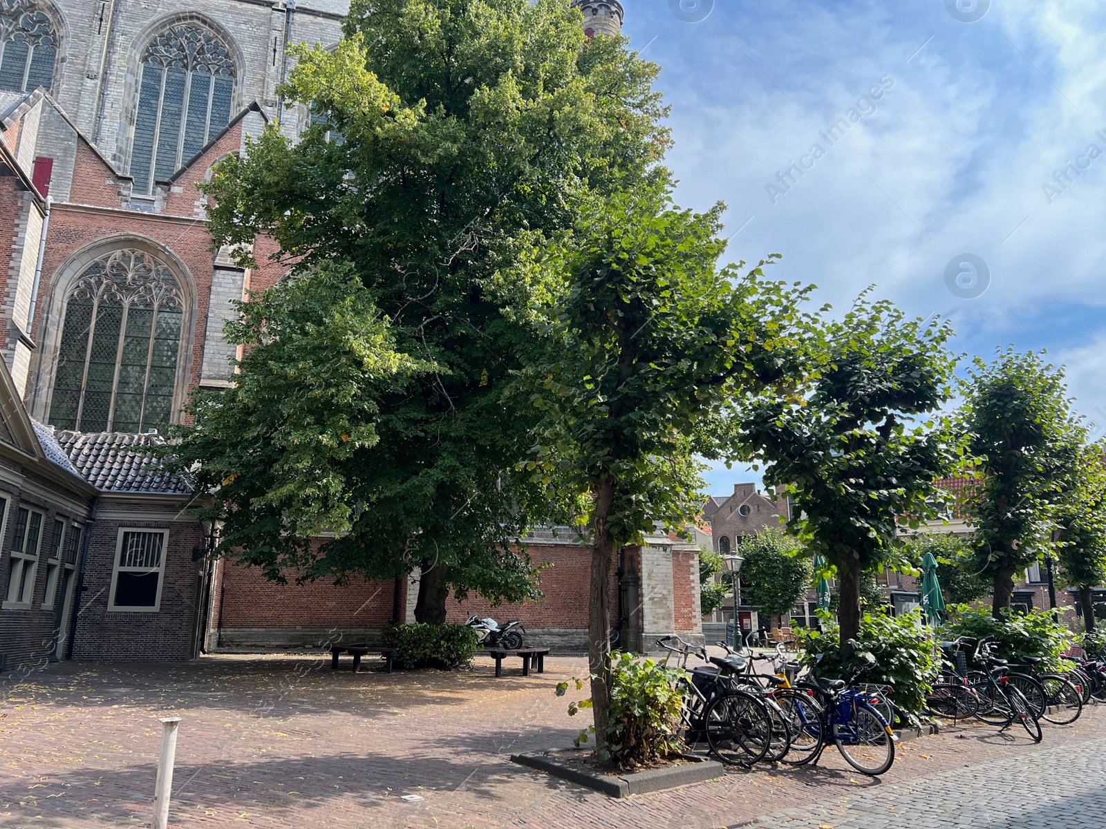 Photo of Beautiful view of parking with bicycles, trees and buildings outdoors on sunny day