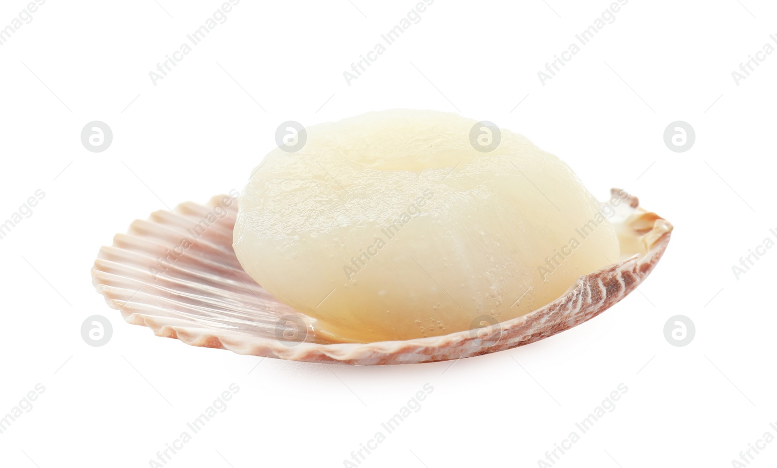 Photo of Fresh raw scallop in shell isolated on white