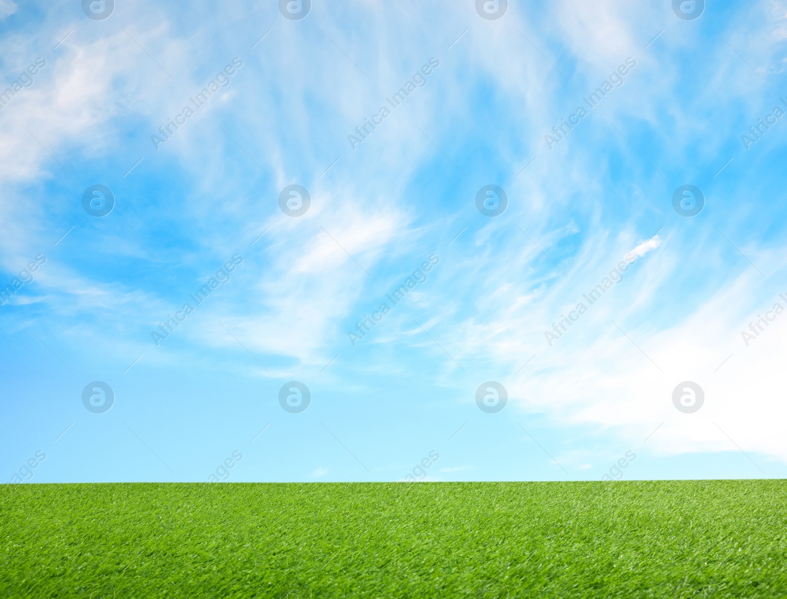 Image of Green grass under blue sky with clouds