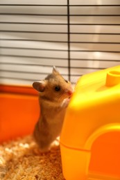 Cute little fluffy hamster playing in cage