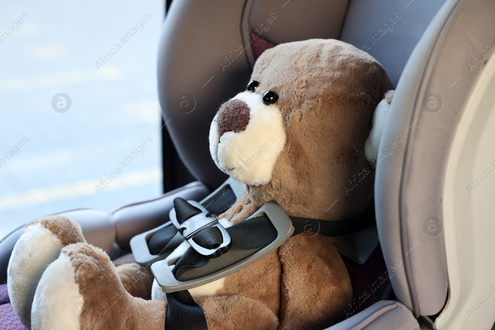 Photo of Teddy bear in child safety seat inside car