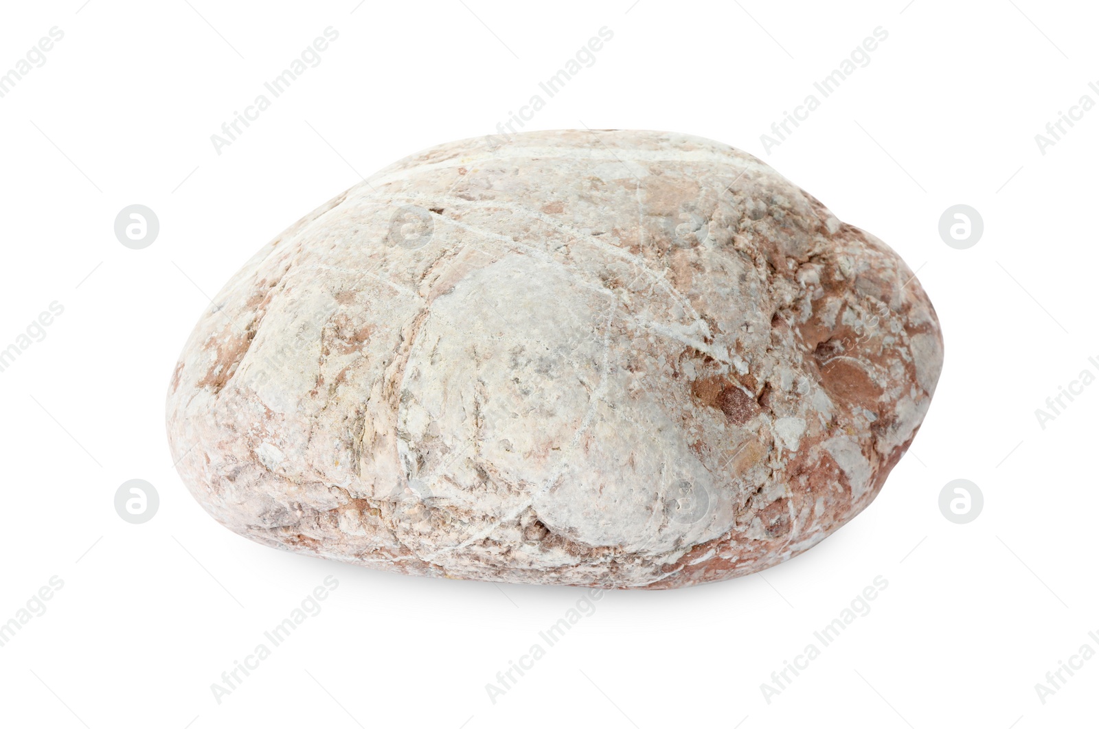 Photo of One light stone isolated on white. Sea pebble