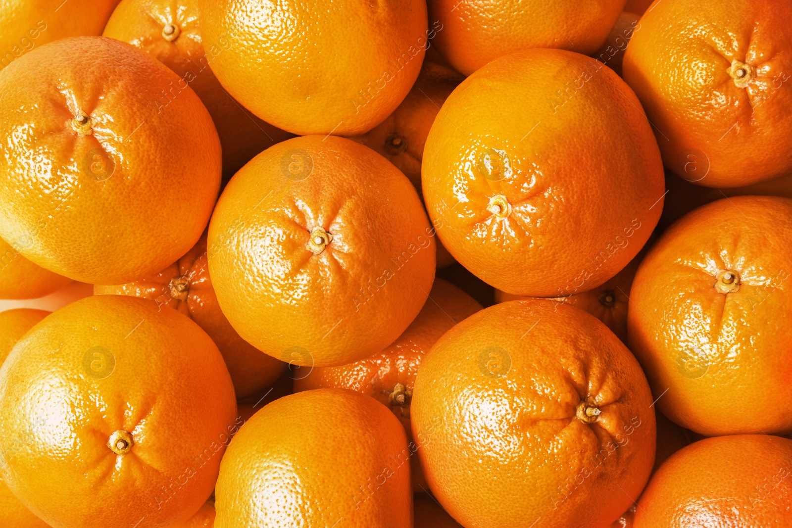 Photo of Many whole fresh ripe grapefruits as background, top view