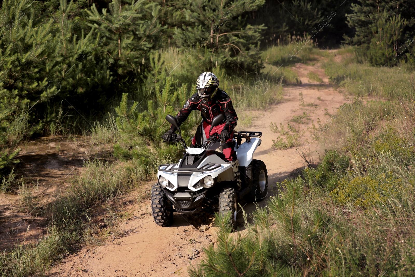 Photo of Man driving modern quad bike on sandy road near forest. Extreme sport